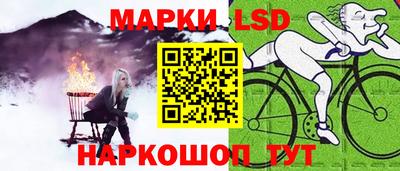дмт Аргун