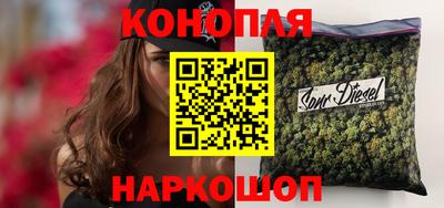 дмт Аргун