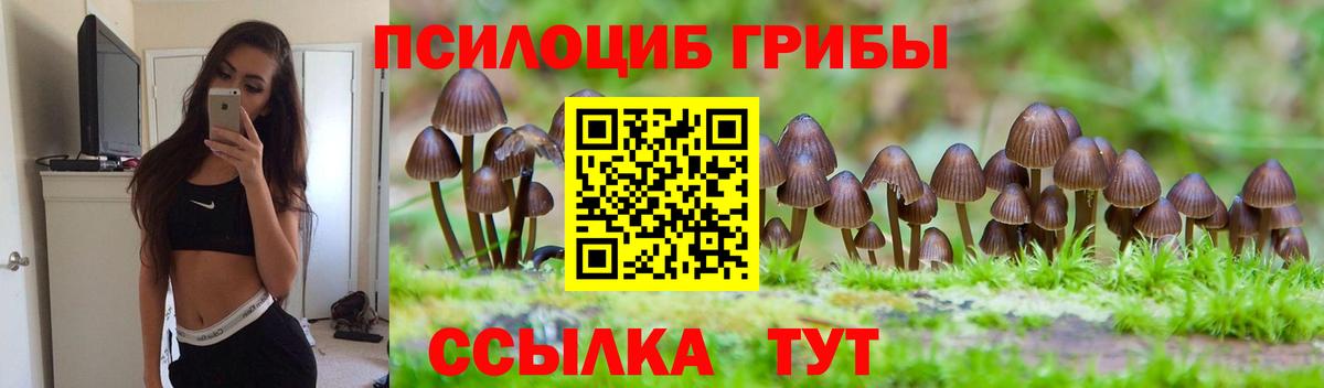 Псилоцибиновые грибы Psilocybe  Вход с VPN  Галлюциногенные грибы ЛСД  Верхняя Пышма 